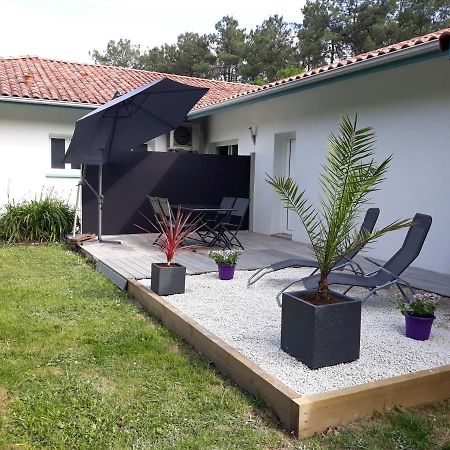 Chambre D'Hotes Du Pin Pey Bagian luar foto