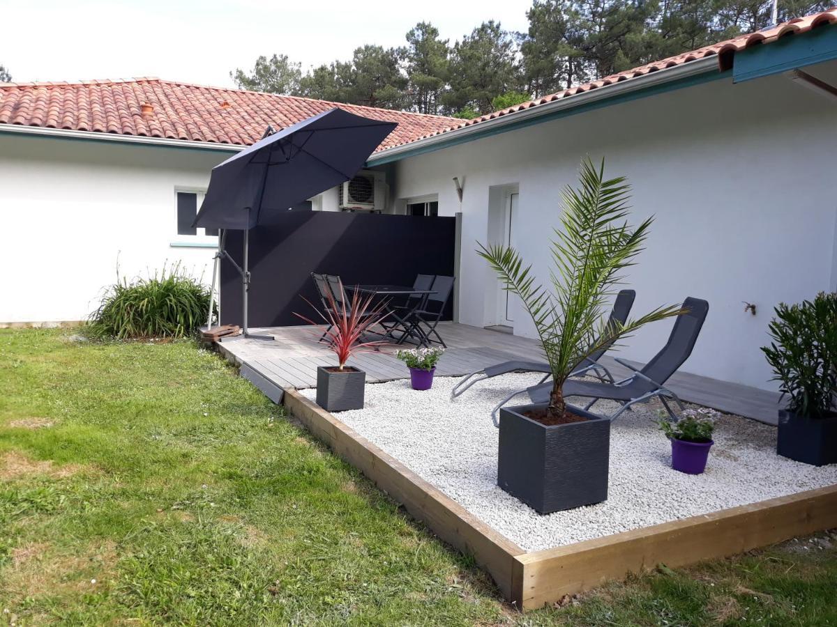 Chambre D'Hotes Du Pin Pey Bagian luar foto
